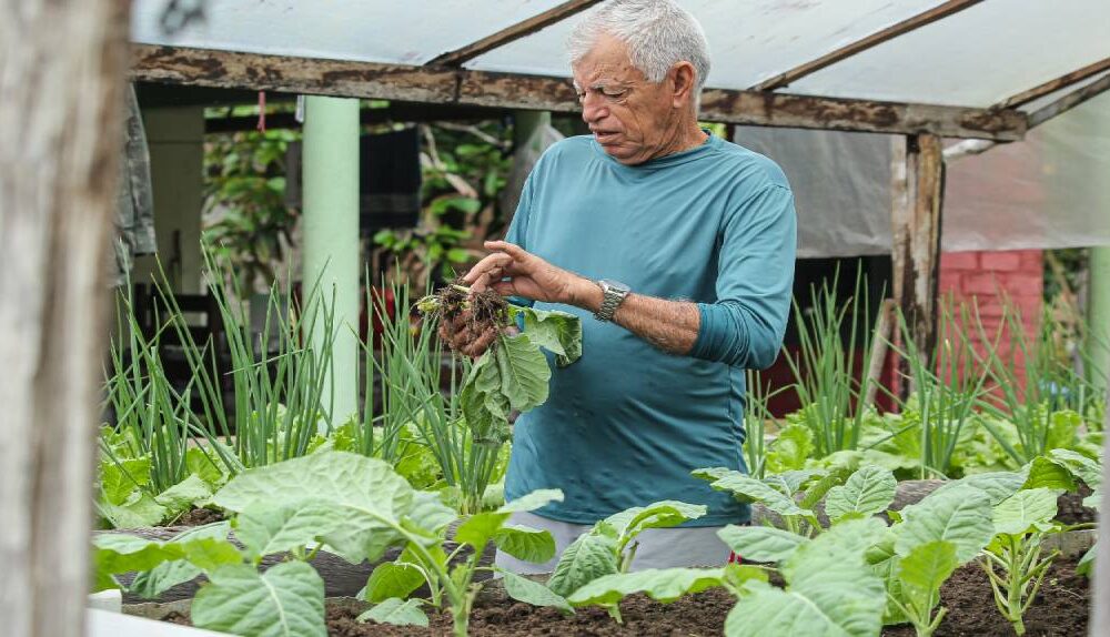 agricultura-familiar-setor-responsavel-por-parte-da-alimentacao-e-economia-do-estado-tem-dia-reconhecido-por-lei-aprovada-na-ale-rr-|-ale-rr-|-assembleia-legislativa-de-roraima