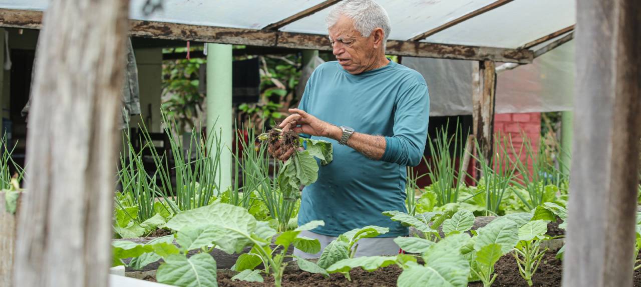 agricultura-familiar-setor-responsavel-por-parte-da-alimentacao-e-economia-do-estado-tem-dia-reconhecido-por-lei-aprovada-na-ale-rr-|-ale-rr-|-assembleia-legislativa-de-roraima