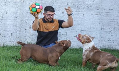 ‘pet-heroi-doador’-lei-aprovada-pela-ale-rr-estimula-campanha-de-doacao-de-sangue-entre-pets-no-estado-|-ale-rr-|-assembleia-legislativa-de-roraima