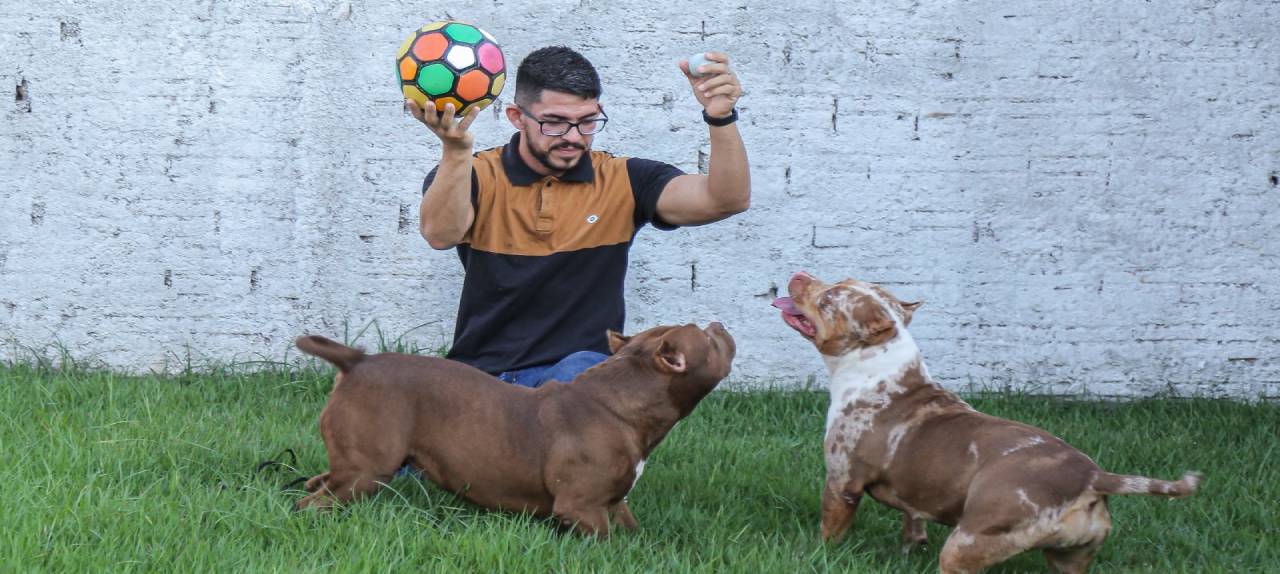 ‘pet-heroi-doador’-lei-aprovada-pela-ale-rr-estimula-campanha-de-doacao-de-sangue-entre-pets-no-estado-|-ale-rr-|-assembleia-legislativa-de-roraima