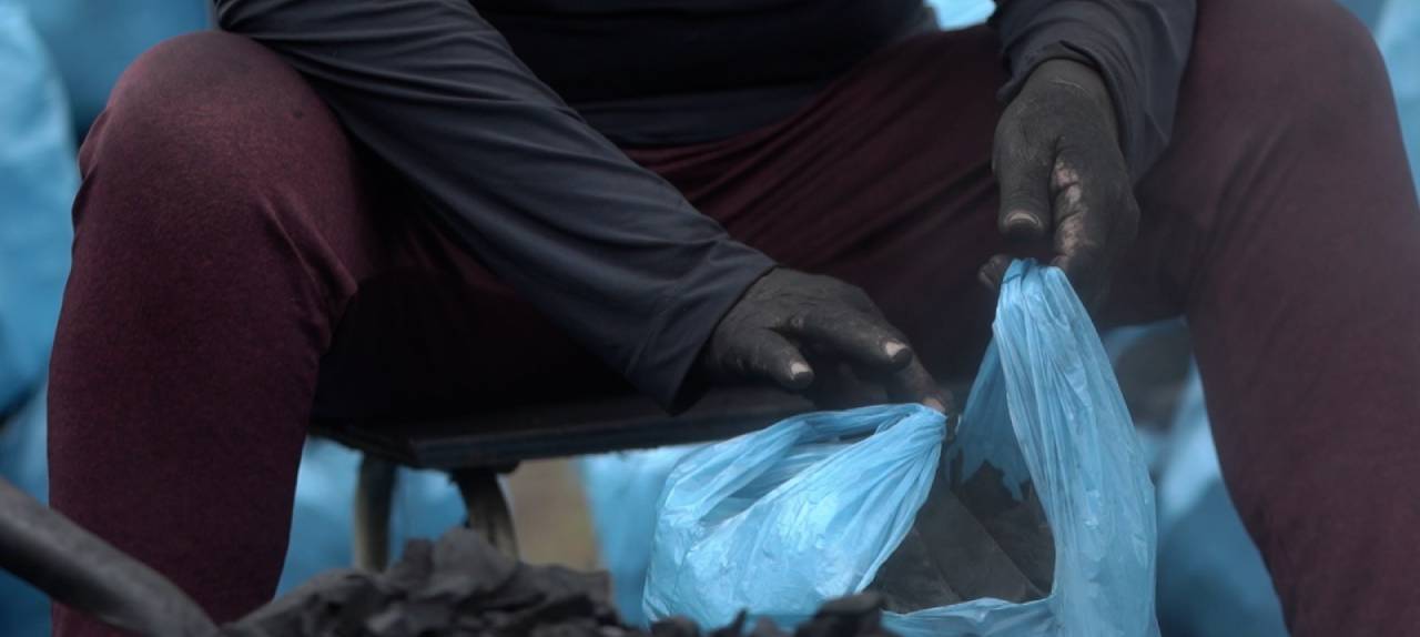 trabalho-analogo-a-escravidao-projeto-de-lei-proibe-pessoa-juridica-condenada-de-contratar-com-administracao-publica-estadual-|-ale-rr-|-assembleia-legislativa-de-roraima
