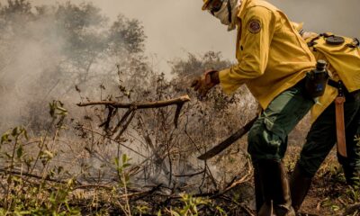 incendios-no-pantanal-ja-consumiram-este-ano-mais-de-15%-do-bioma