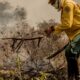 incendios-no-pantanal-ja-consumiram-este-ano-mais-de-15%-do-bioma