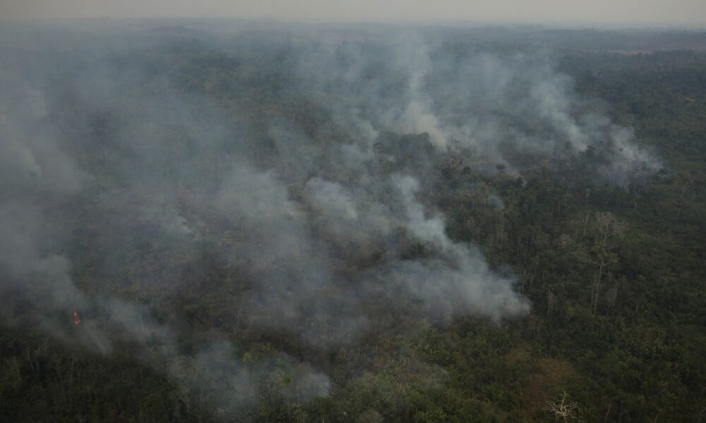 risco-de-incendio-fecha-80-unidades-de-conservacao-em-sao-paulo