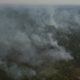 risco-de-incendio-fecha-80-unidades-de-conservacao-em-sao-paulo
