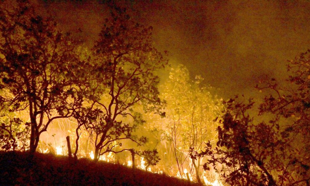 bombeiros-combatem-mais-de-330-incendios-no-estado-do-rio