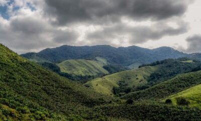 operacao-contra-o-desmatamento-da-mata-atlantica-comeca-em-17-estados