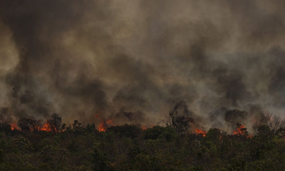 secretario-do-mma-ve-conotacao-politica-em-queimadas-na-amazonia