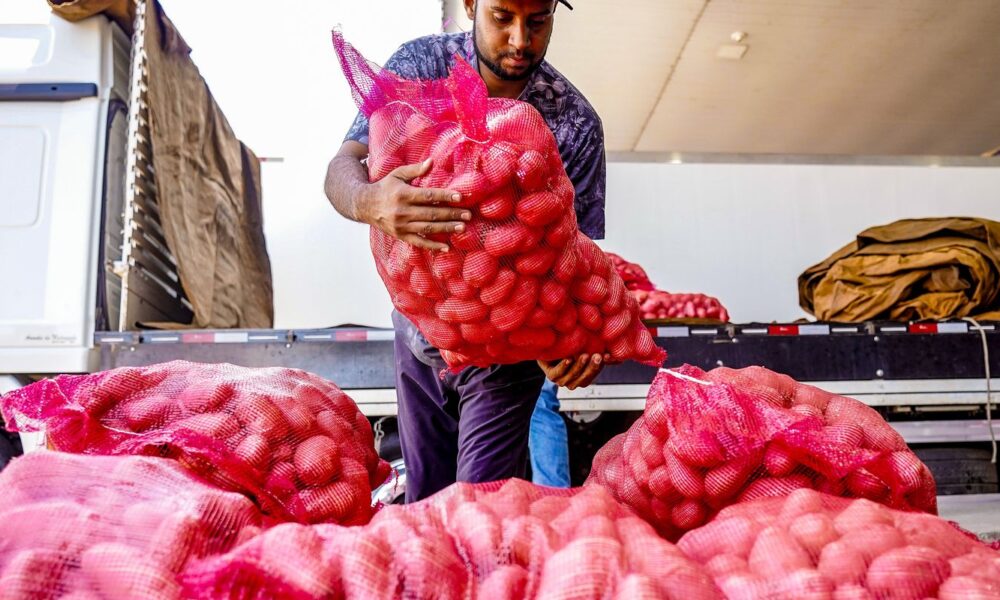 conab-aponta-queda-de-preco-da-batata-e-alta-da-cebola-e-tomate