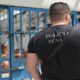 reconhecimentos-dia-do-policial-penal-e-mocoes-sao-aprovados-na-ale-rr-|-ale-rr-|-assembleia-legislativa-de-roraima