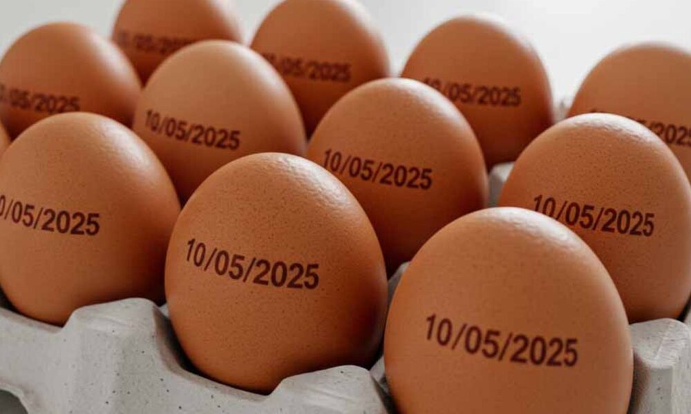 calor-extremo,-alta-do-milho-e-quaresma-pressionam-preco-do-ovo