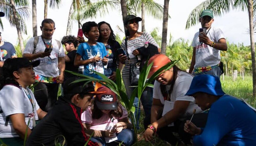 turistea-criancas-atendidas-pelo-teamarr-visitam-cultivo-do-acai-no-canta-|-ale-rr-|-assembleia-legislativa-de-roraima