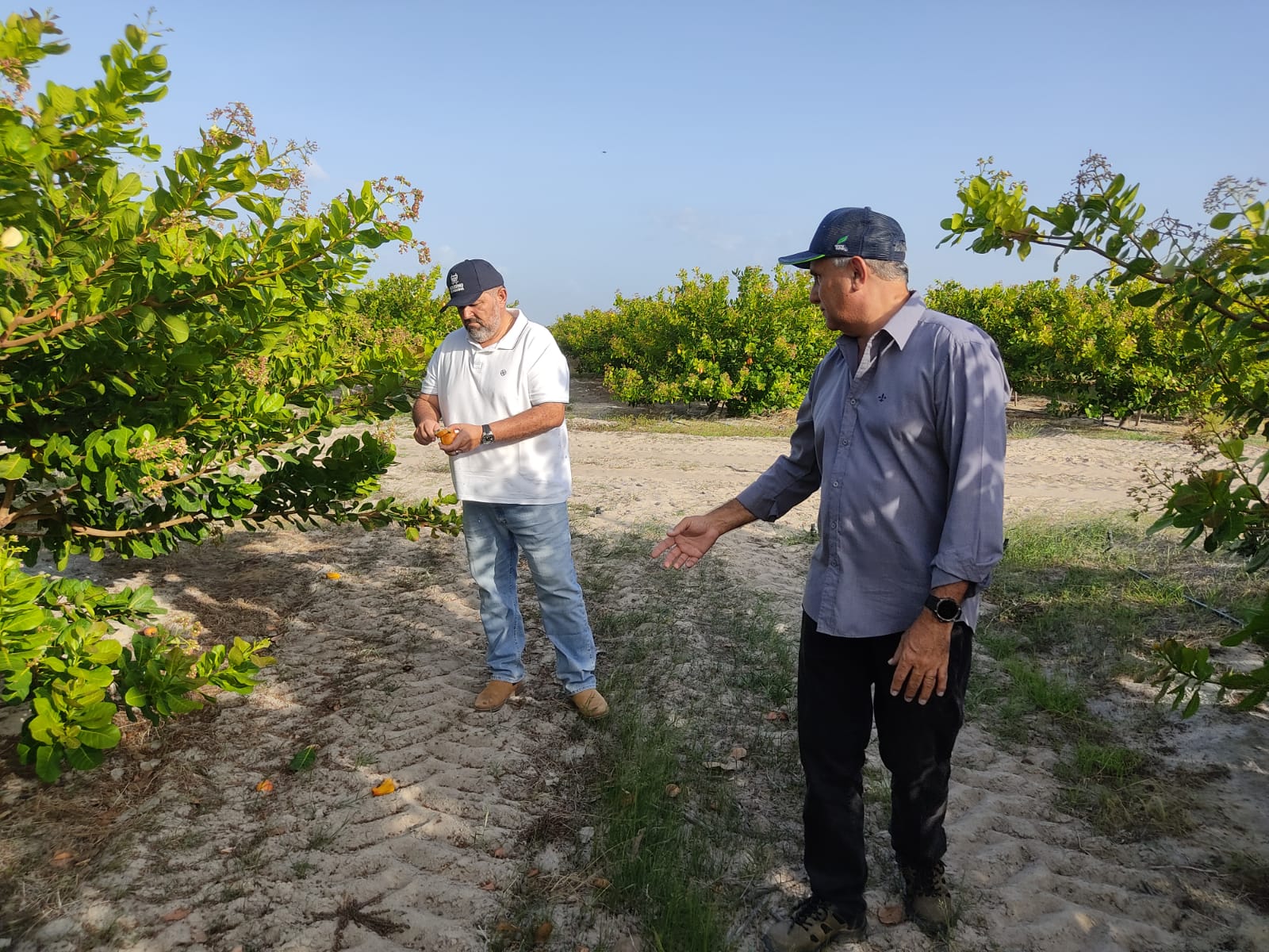 governo-de-roraima-impulsiona-agricultura-familiar-com-projeto-agroecologico-–-governo-de-roraima