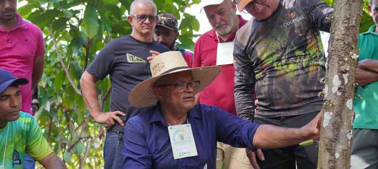 desenvolvimento-rural-ale-rr-fortalece-cadeia-do-cacau-com-seminario-e-capacitacao-pratica-em-caroebe-|-ale-rr-|-assembleia-legislativa-de-roraima