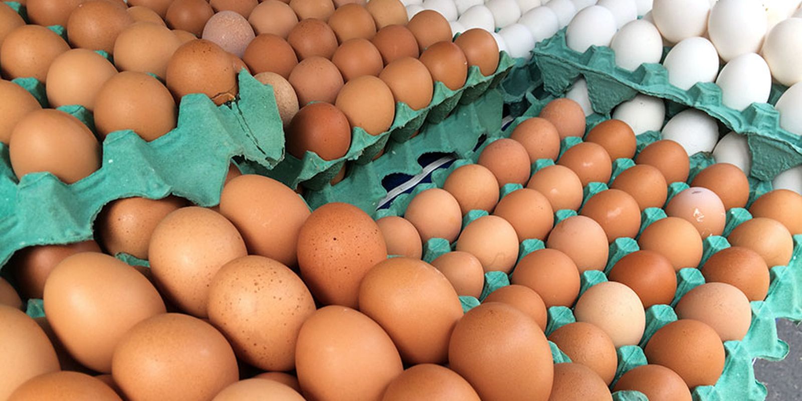 ovos-de-granja-com-caso-de-gripe-aviaria-estao-rastreados,-diz-mapa